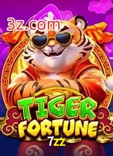 7zz